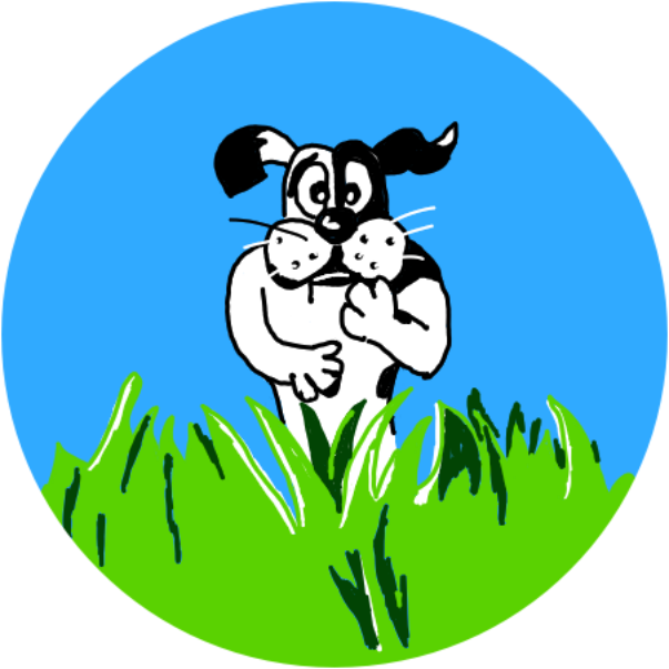 Page Not Found Image